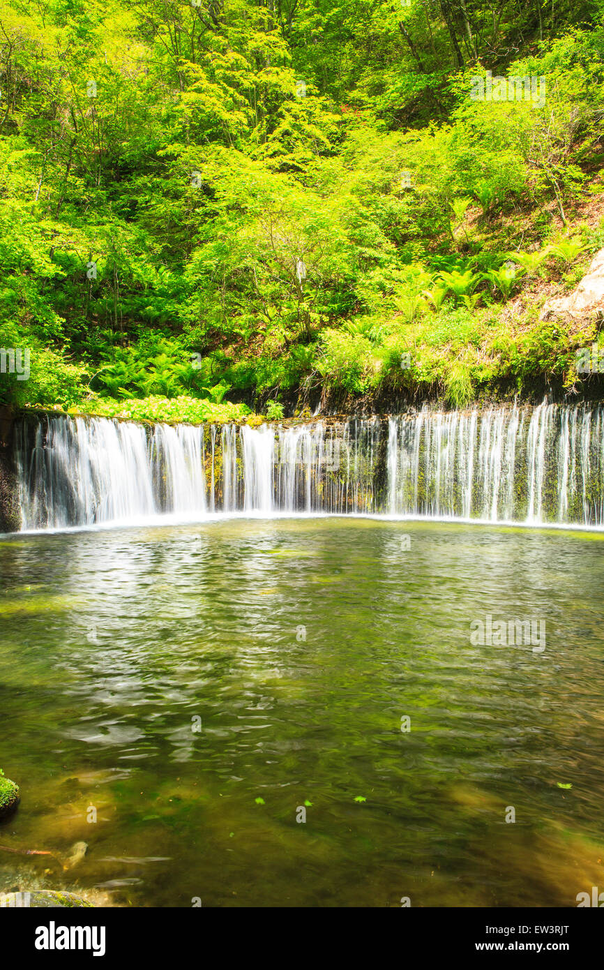 Karuizawa Shiraito cascata, Nagano, Giappone Foto Stock