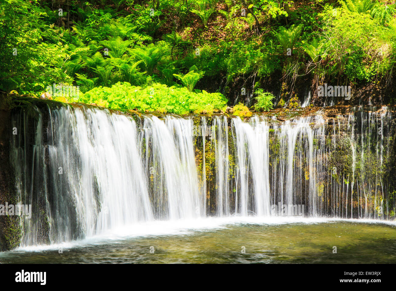 Karuizawa Shiraito cascata, Nagano, Giappone Foto Stock