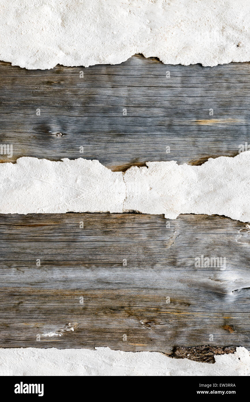 Vero legno secco e argilla striped texture autentica sotto luce naturale Foto Stock