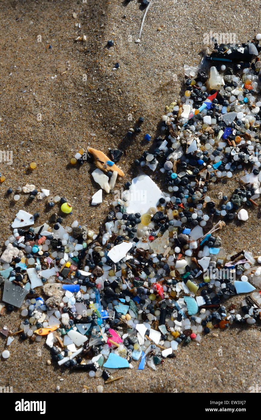 Microplastics -piccolo multicolore di frammenti di plastica sono ordinati per le onde su una spiaggia e sono un pericolo per la fauna marina che possono ingerire loro Foto Stock
