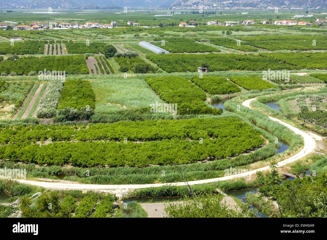 Area fertile vicino Makarska Riviera, Dalmazia, Croazia Foto Stock