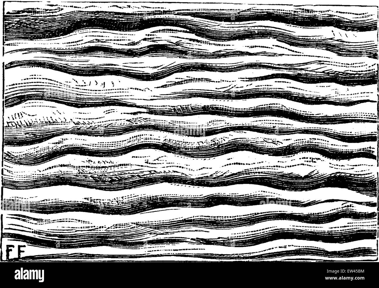 Ripples lasciato da acqua e pietrificati, vintage illustrazioni incise. Messa a terra prima di uomo - 1886. Illustrazione Vettoriale