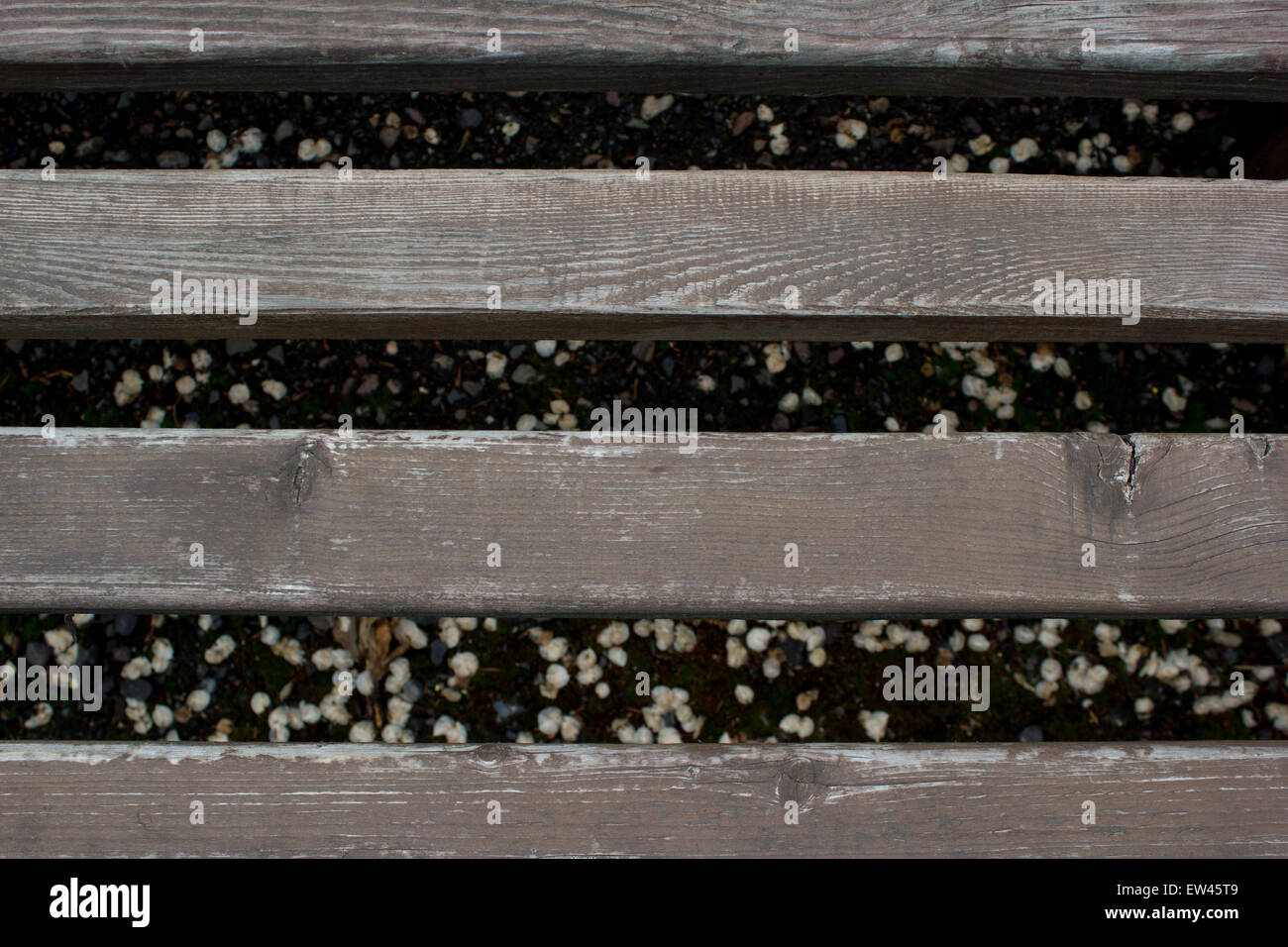 Rustico fienile spiovente Sfondo legno con nodi e fori dei chiodi Foto Stock