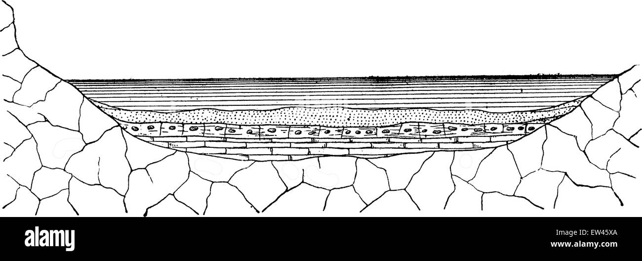 Modalità di formazione di sedimenti terrestri, vintage illustrazioni incise. Messa a terra prima di uomo - 1886. Illustrazione Vettoriale