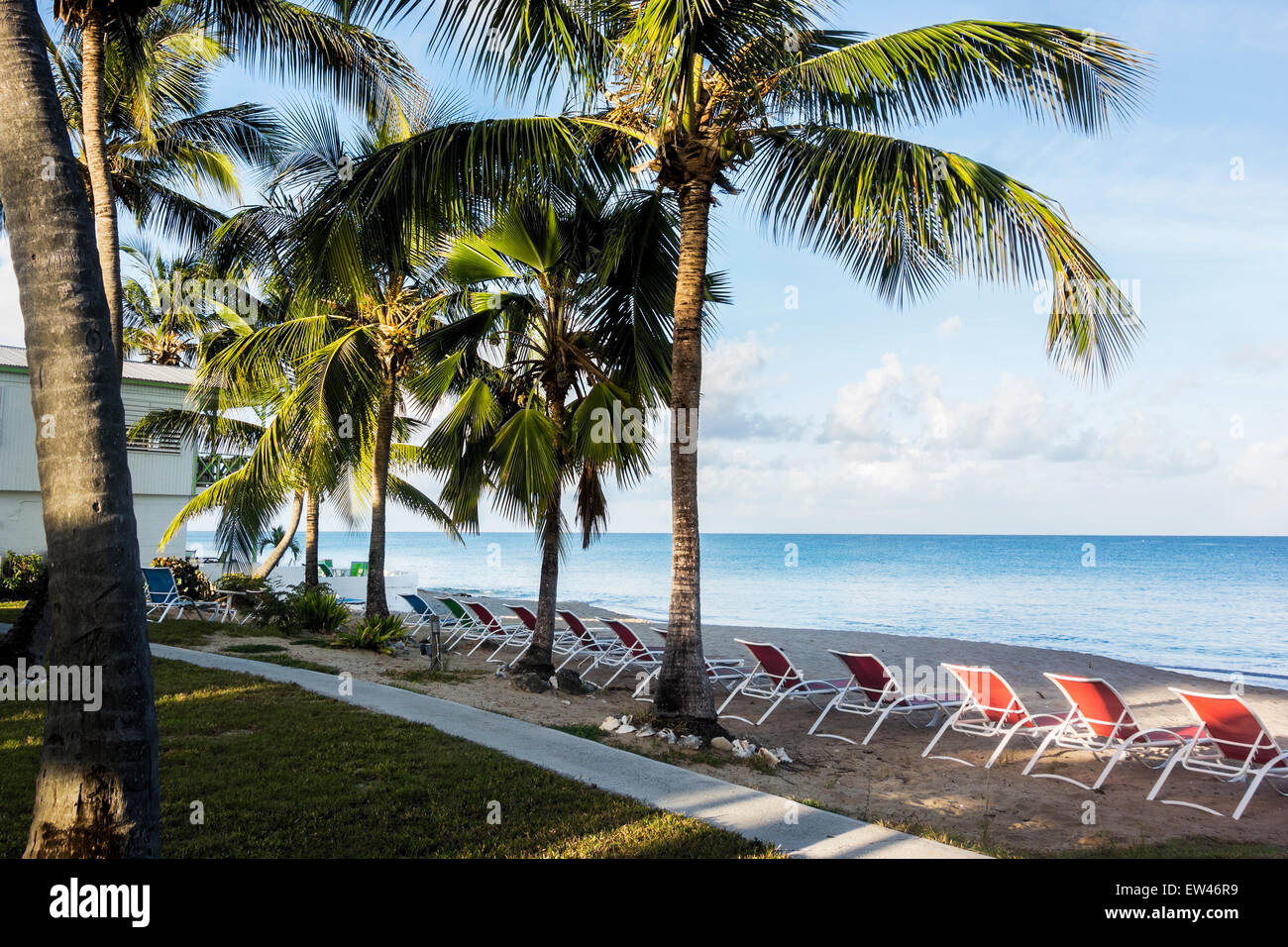 Spiaggia, sedie allineate sulla spiaggia di fronte al mar dei Caraibi in un resort sull'isola di ST CROIX, U. S. Isole Vergini. Foto Stock