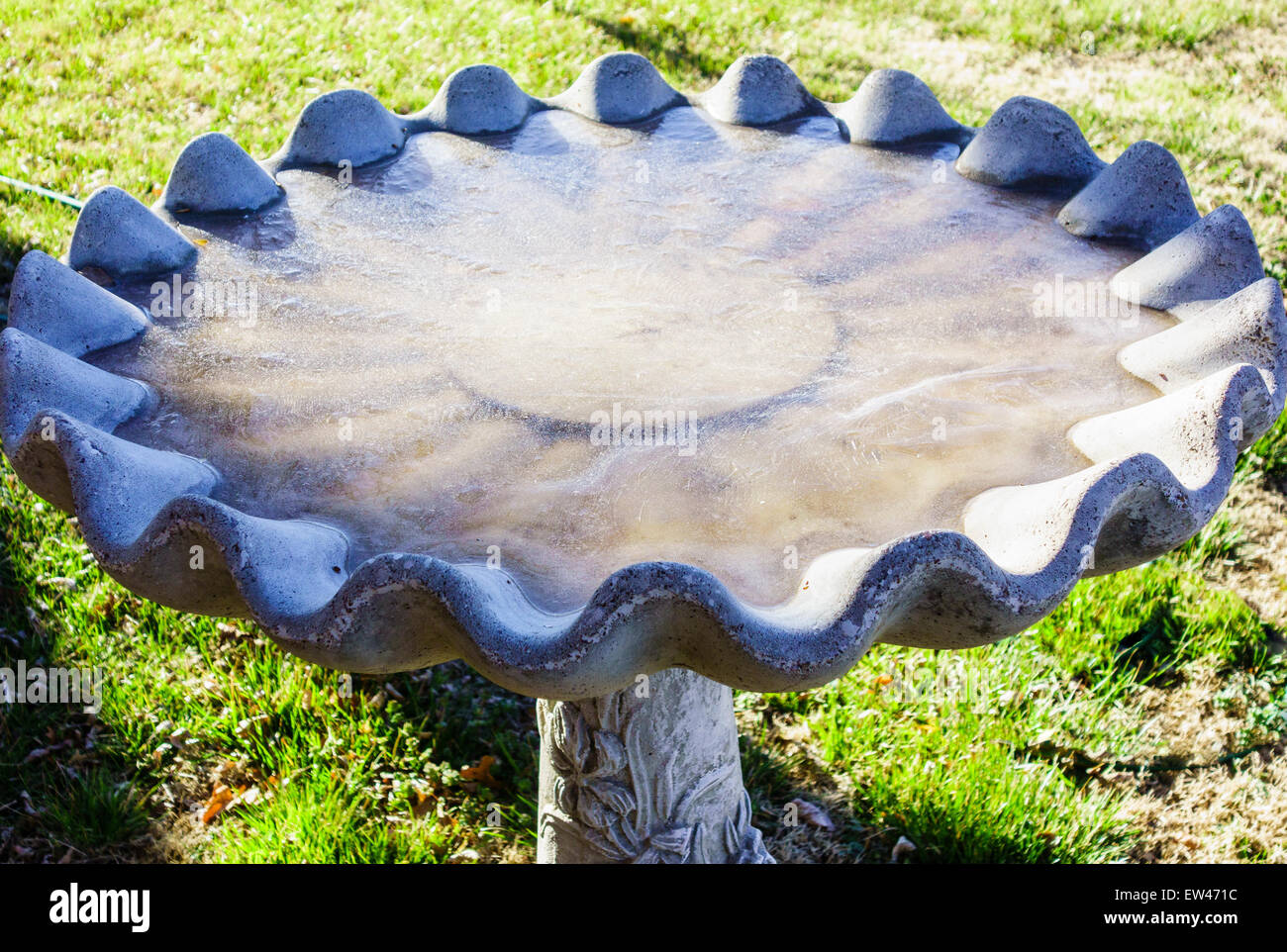 Un uccello bagno con acqua congelata, durante il tardo inverno. Foto Stock