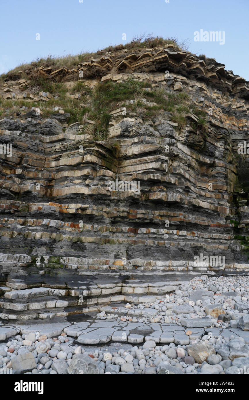 Blue Lias rock in sedimentary Strata, Lavernock Point Wales UK. Costa gallese Foto Stock