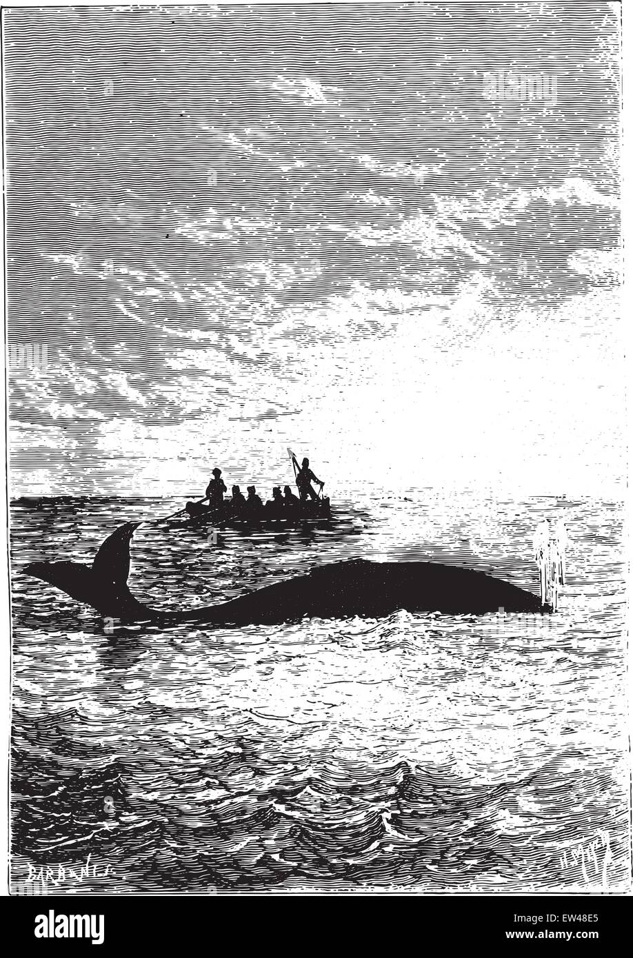 La balena si fermò un cavo, vintage illustrazioni incise. Illustrazione Vettoriale