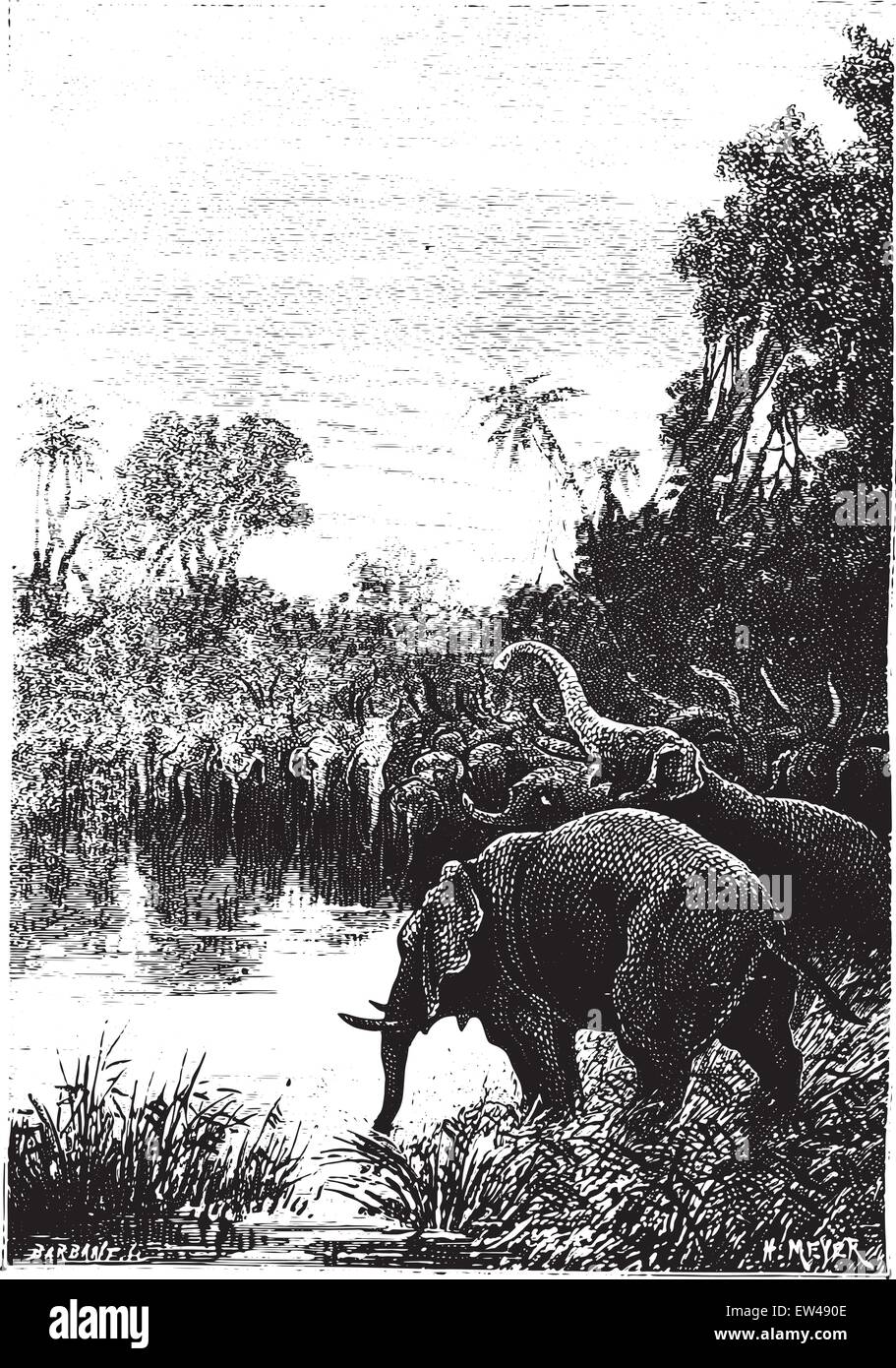 Gli elefanti sono venuti a bere, vintage illustrazioni incise. Illustrazione Vettoriale