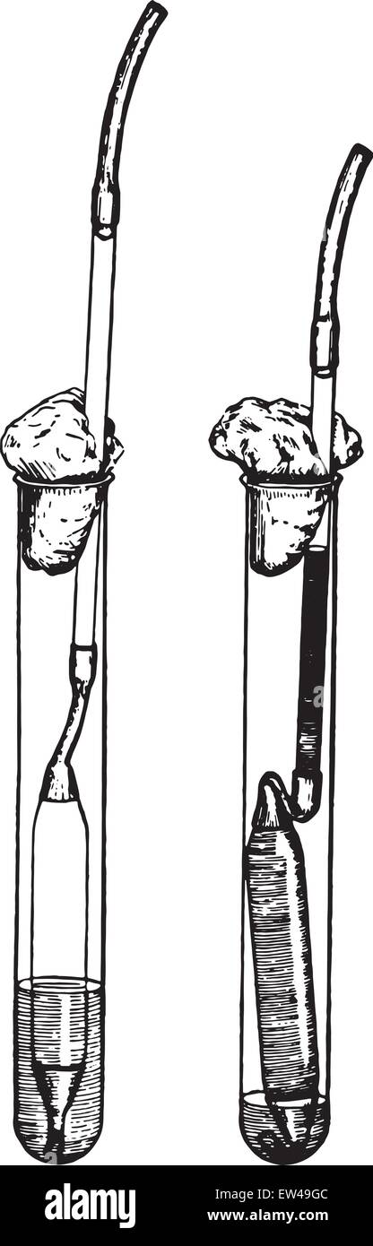 Metodo per la coltura anaerobica in mezzi liquidi, vintage illustrazioni incise. Illustrazione Vettoriale