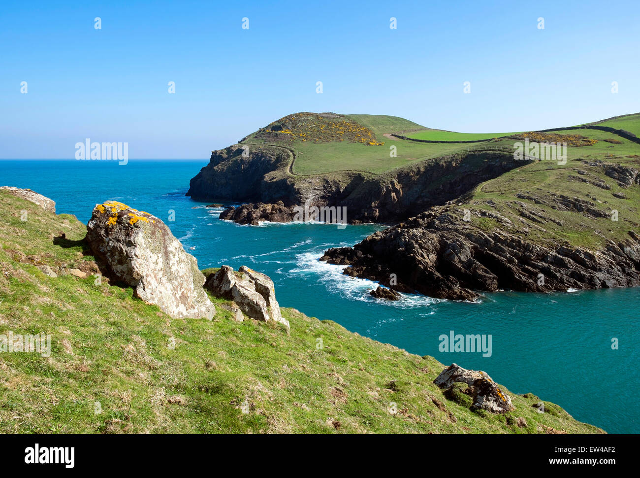 Il robusto costa nord vicino a Port Quin, Cornwall, England, Regno Unito Foto Stock