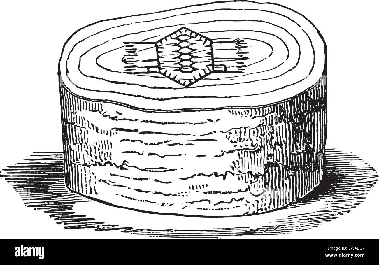 Blocco di legno con il design pronti per essere masterizzati, vintage illustrazioni incise. Enciclopedia industriale E.-O. Lami - 1875. Illustrazione Vettoriale