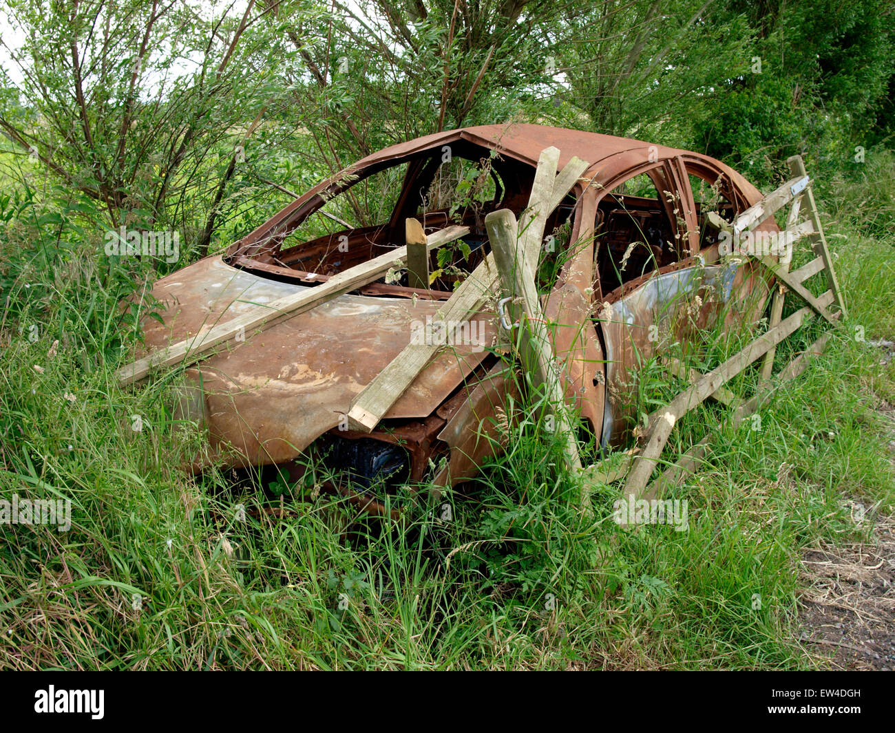 Rusty auto abbandonate sui livelli di Somerset, Regno Unito Foto Stock