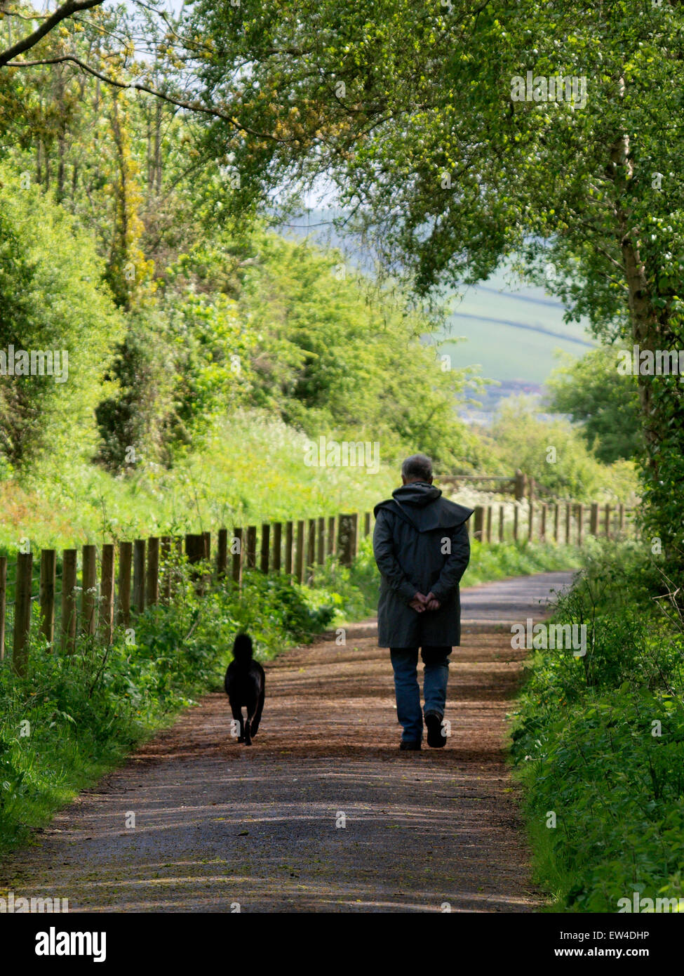 Il vecchio uomo a camminare lungo il sentiero Tarka, Devon, Regno Unito Foto Stock