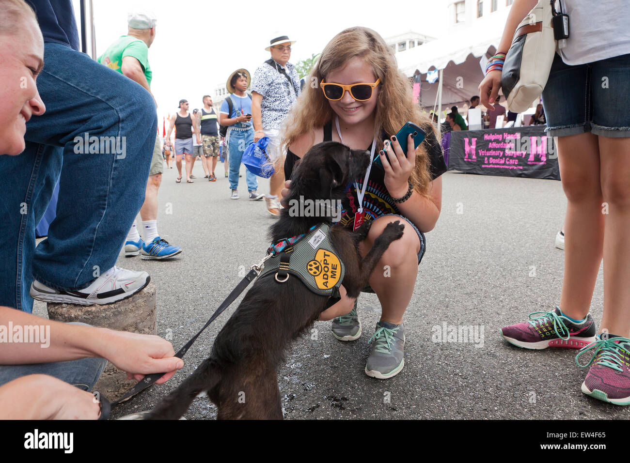 Cane da animal shelter in corrispondenza di un festival all'aperto - USA Foto Stock