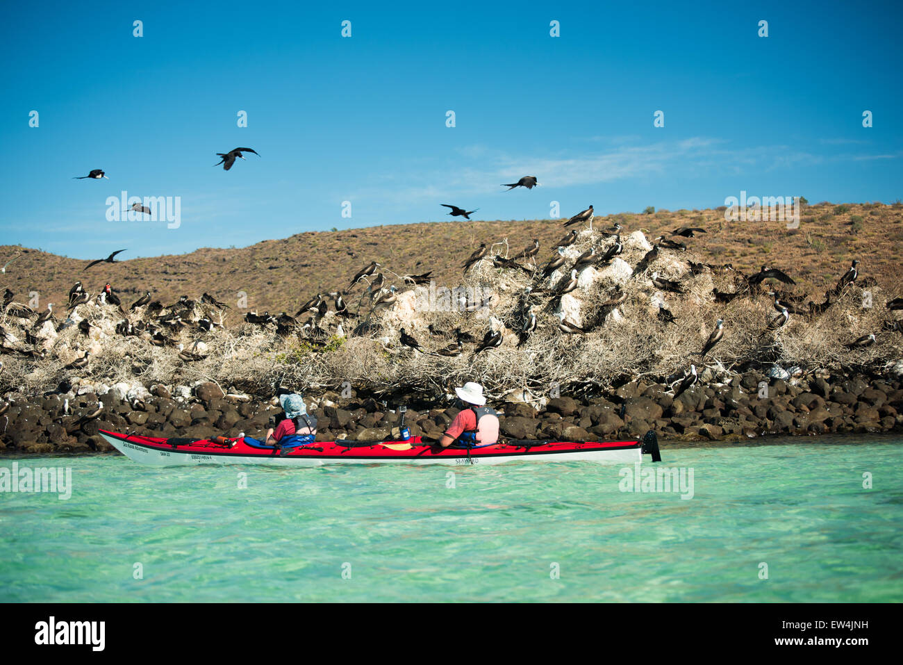 Messico, Baja, Lapaz, Espiritu Santo. I turisti in kayak. Foto Stock