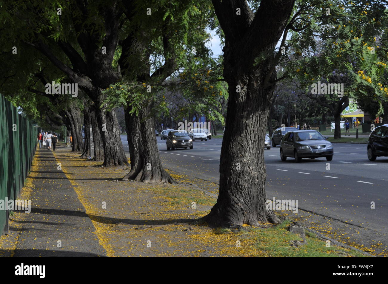 Strada di Buenos Aires Foto Stock