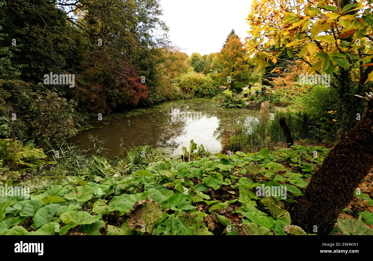 Ness Botanic Gardens sono situati vicino alla lingua inglese e confine gallese nel Cheshire, vicino alla città di Chester . Foto Stock