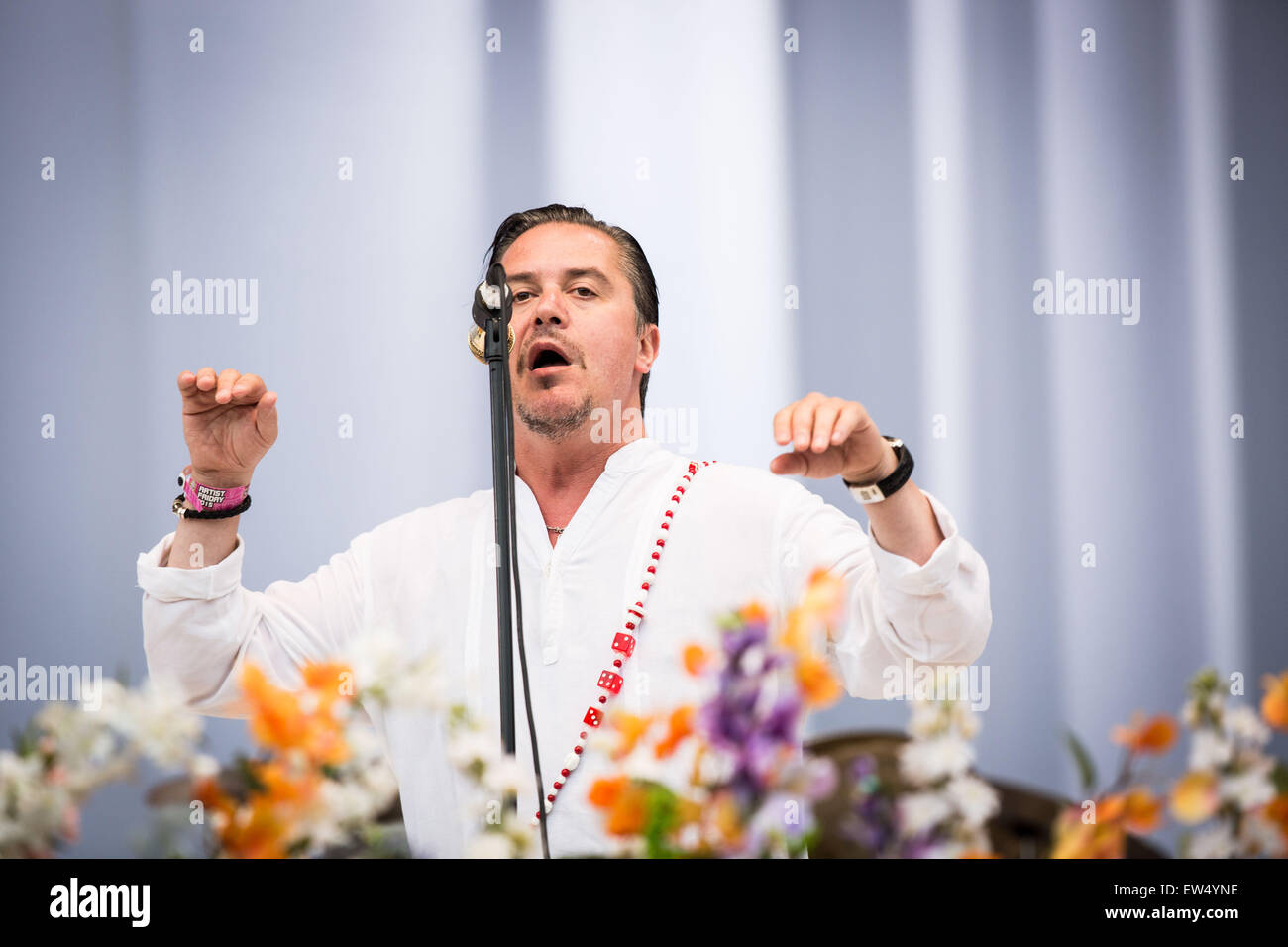 La fede non più eseguire live at Pinkpop Festival 2015 in Landgraaf Paesi Bassi © Roberto Finizio/Alamy Live News Foto Stock