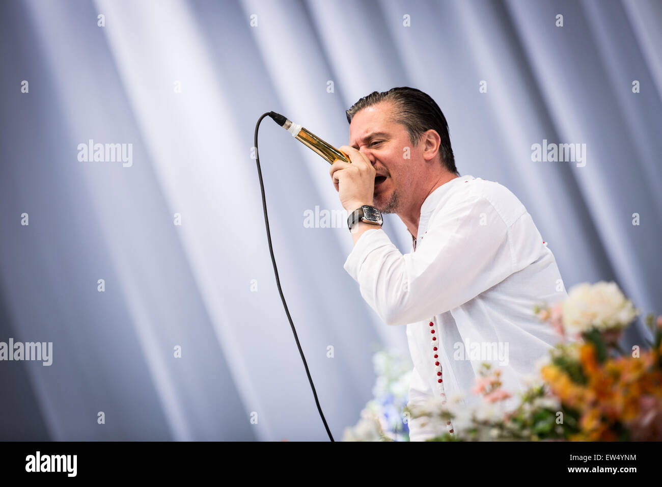 La fede non più eseguire live at Pinkpop Festival 2015 in Landgraaf Paesi Bassi © Roberto Finizio/Alamy Live News Foto Stock