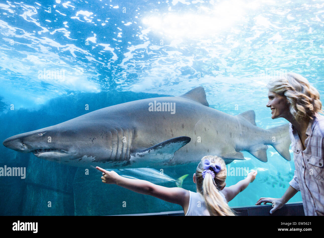 Figlia misurare uno squalo con le mani Foto Stock