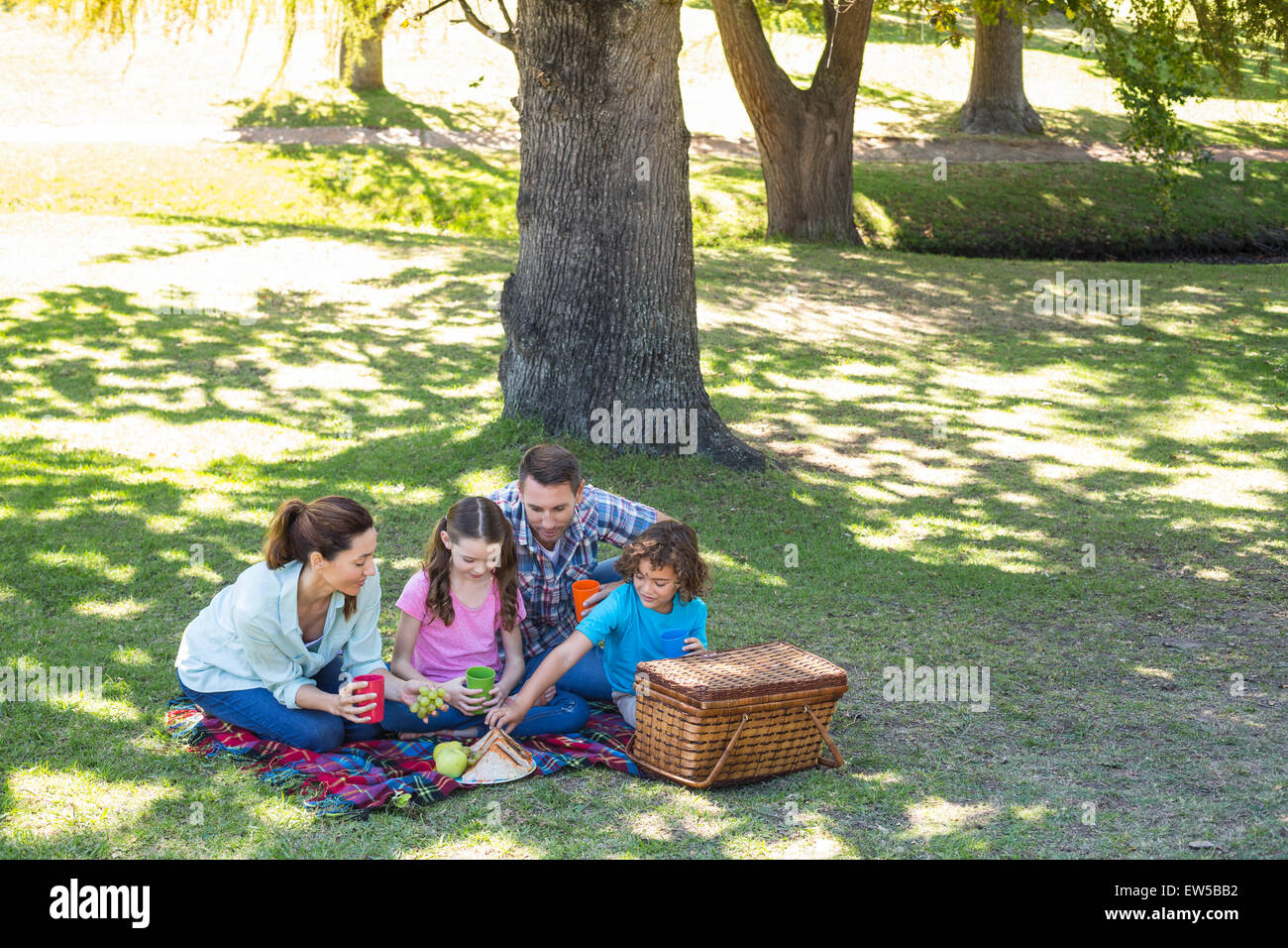 La famiglia felice su un picnic nel parco Foto Stock