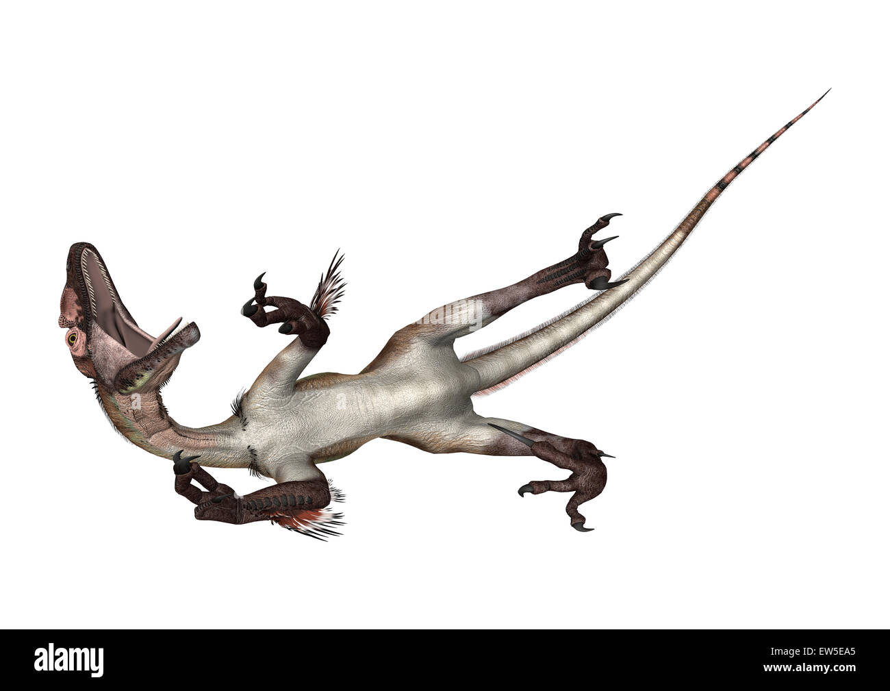 3D render digitale di un dinosauro utahraptor isolati su sfondo bianco Foto Stock