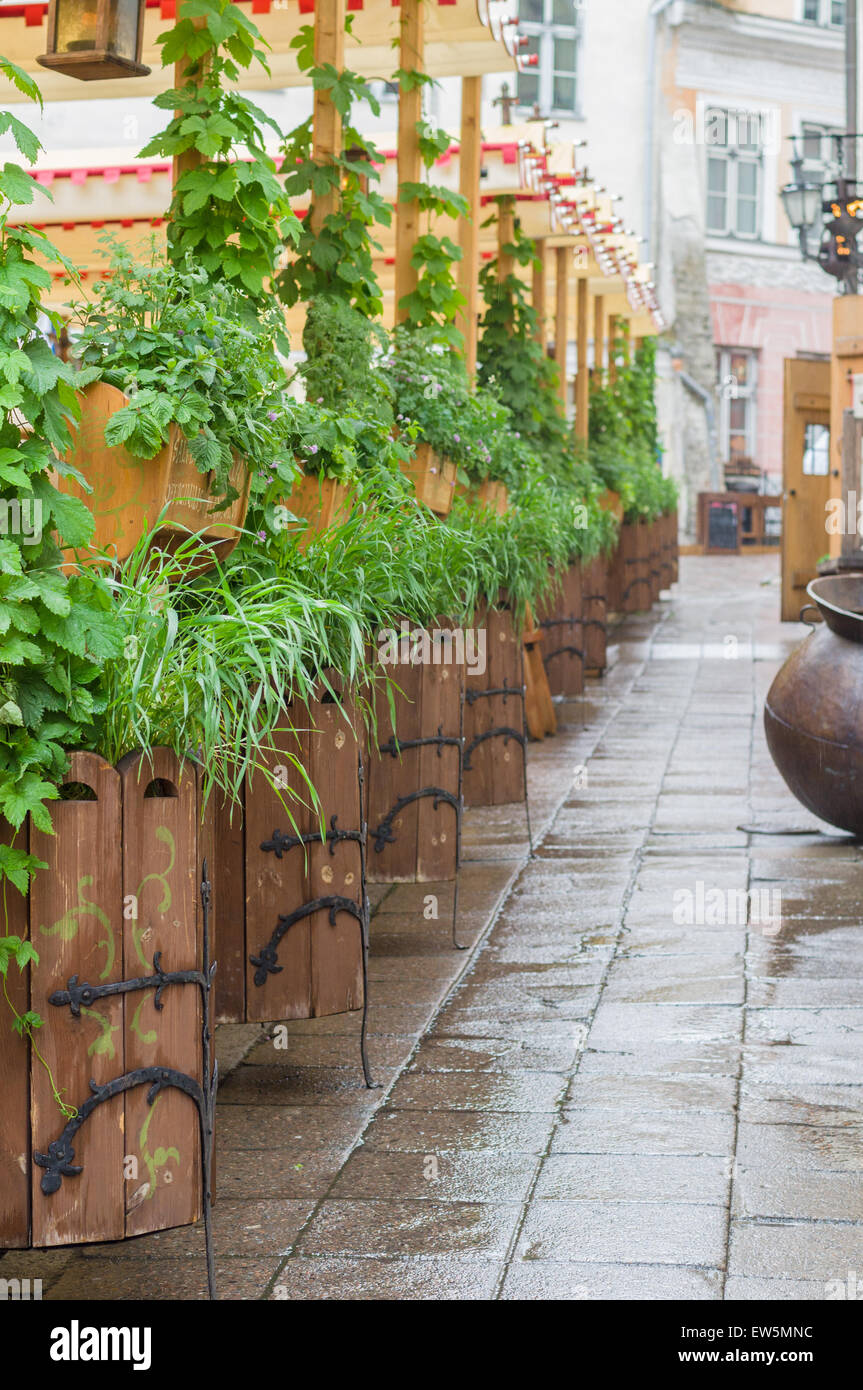 New Scenic 5 posti stile medievale e terrazzo con piante e fiori sul classico europeo old town street Foto Stock