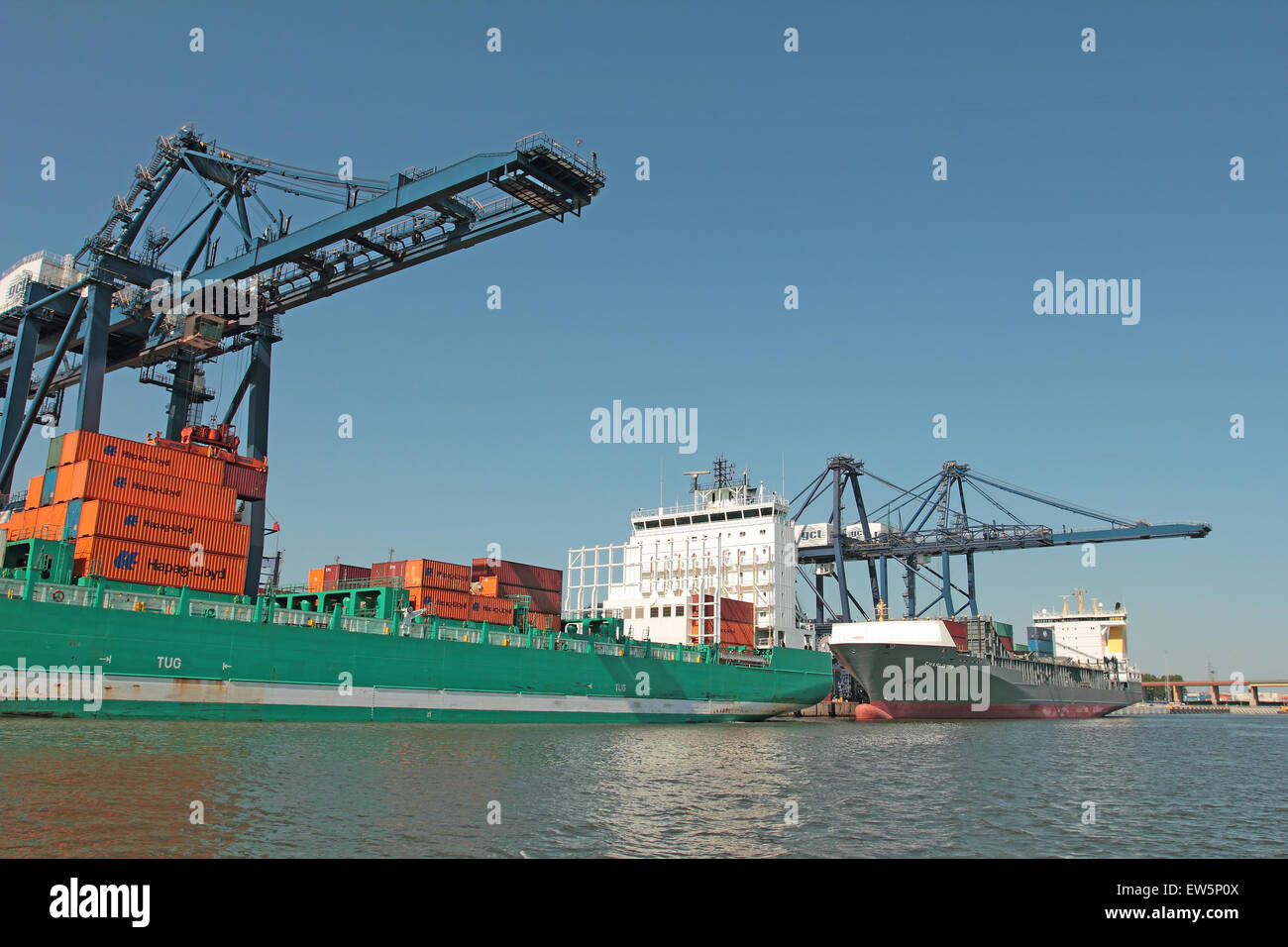 Navi container nel porto di Gdynia il caricamento di pesanti contenitori mediante gru Foto Stock