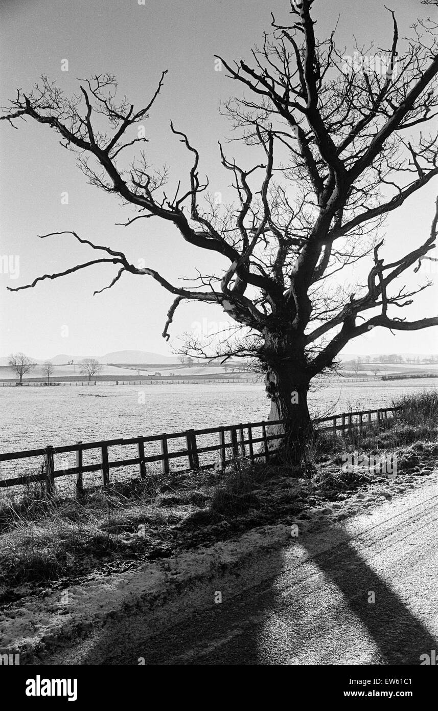 Scene di campagna, Cleveland, North Yorkshire, 1 febbraio 1980. Foto Stock