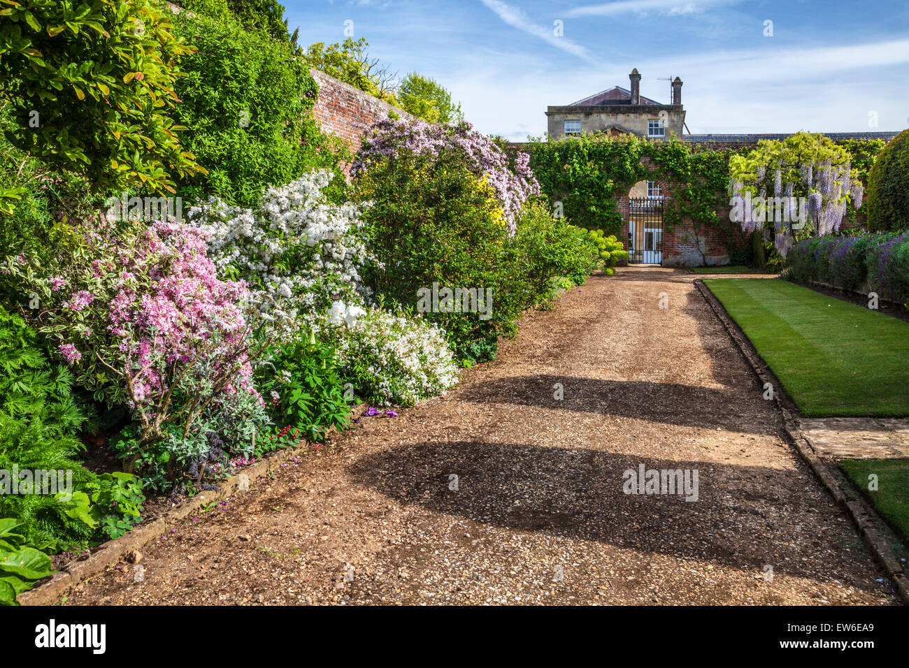 Confine erbacee in il giardino murato di Bowood House nel Wiltshire. Foto Stock