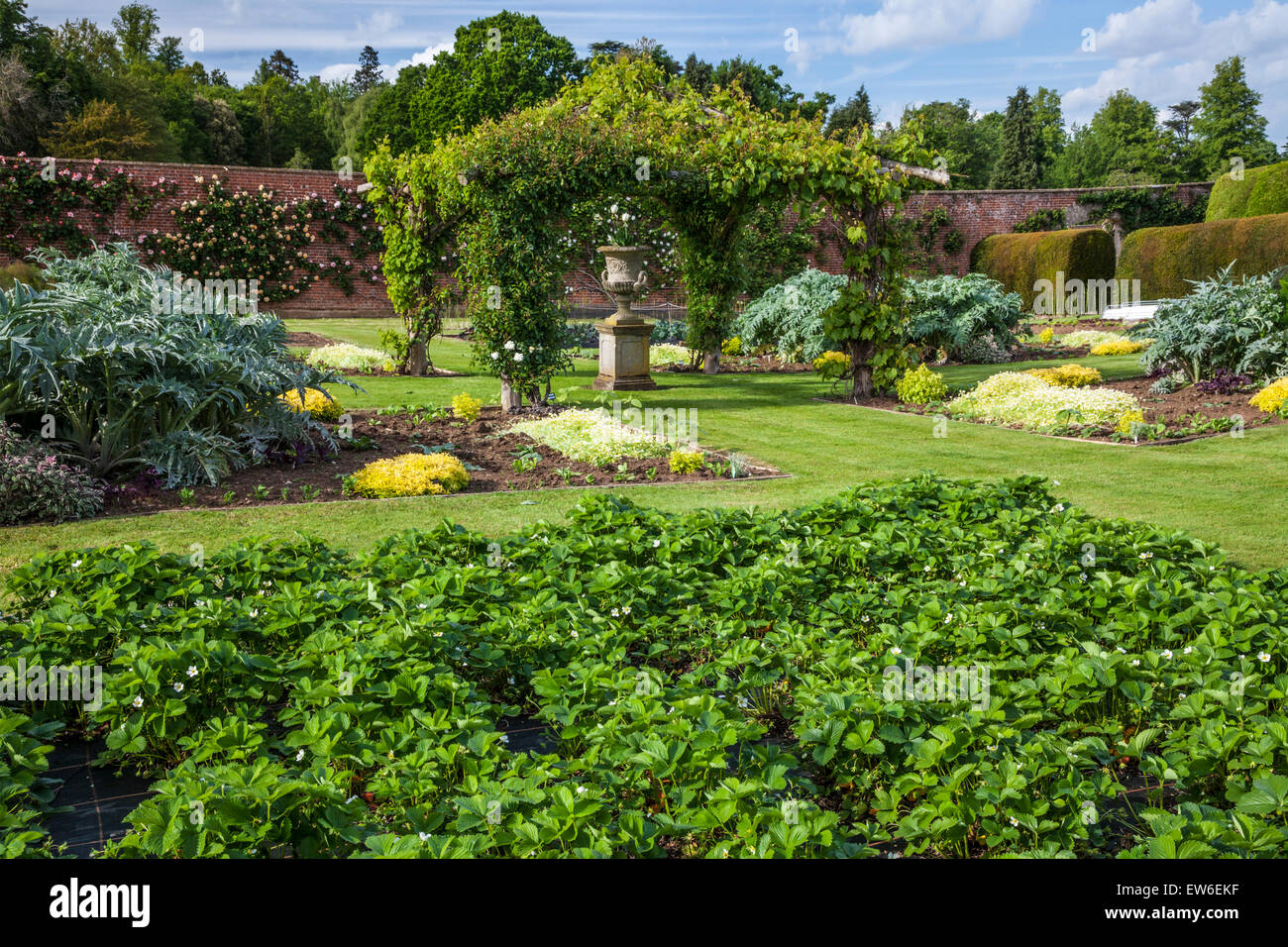 L'orto in giardini murati di Bowood House nel Wiltshire. Foto Stock