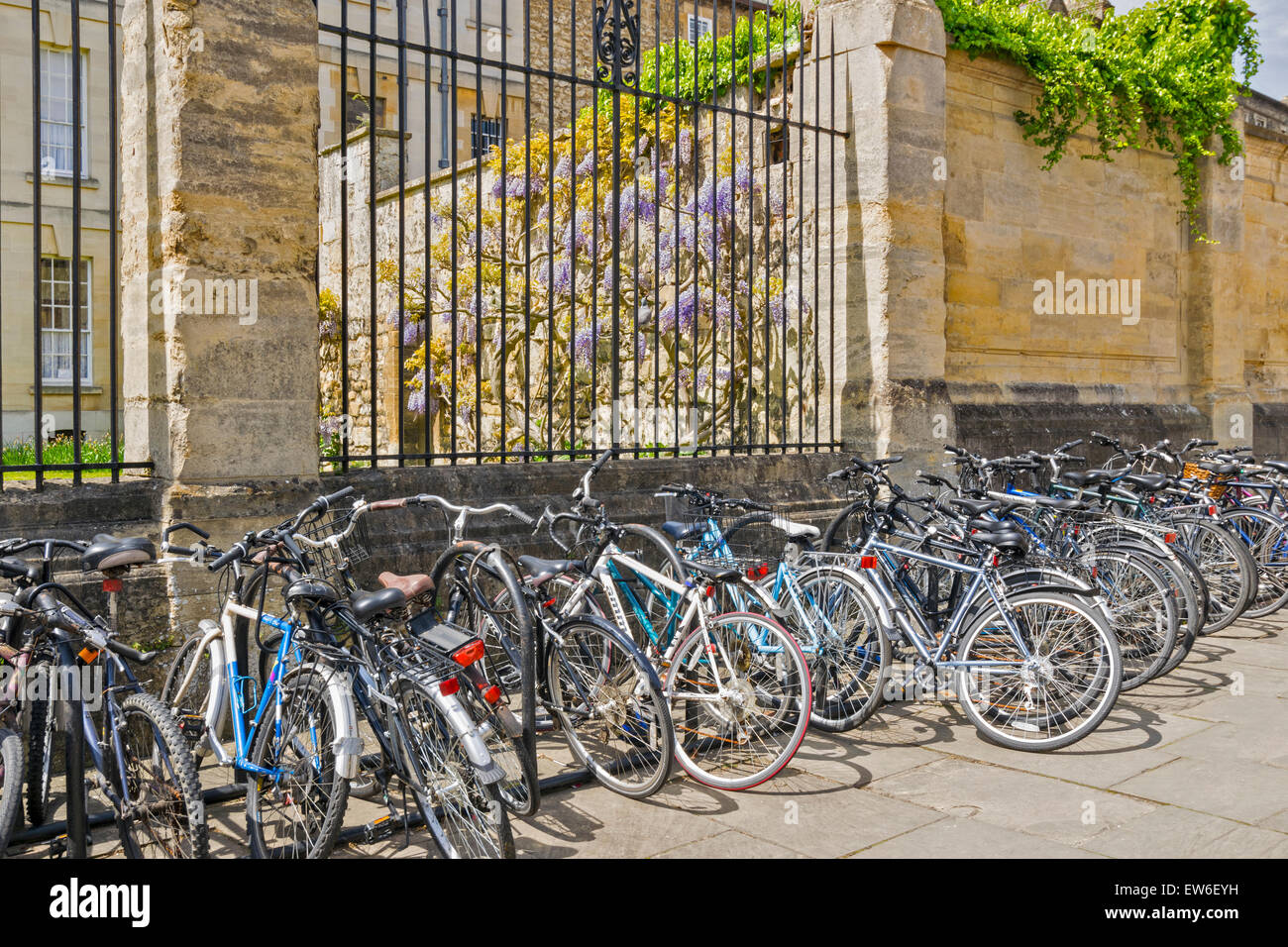 OXFORD biciclette da città e il vecchio muro di pietra blu con fiori di glicine Foto Stock