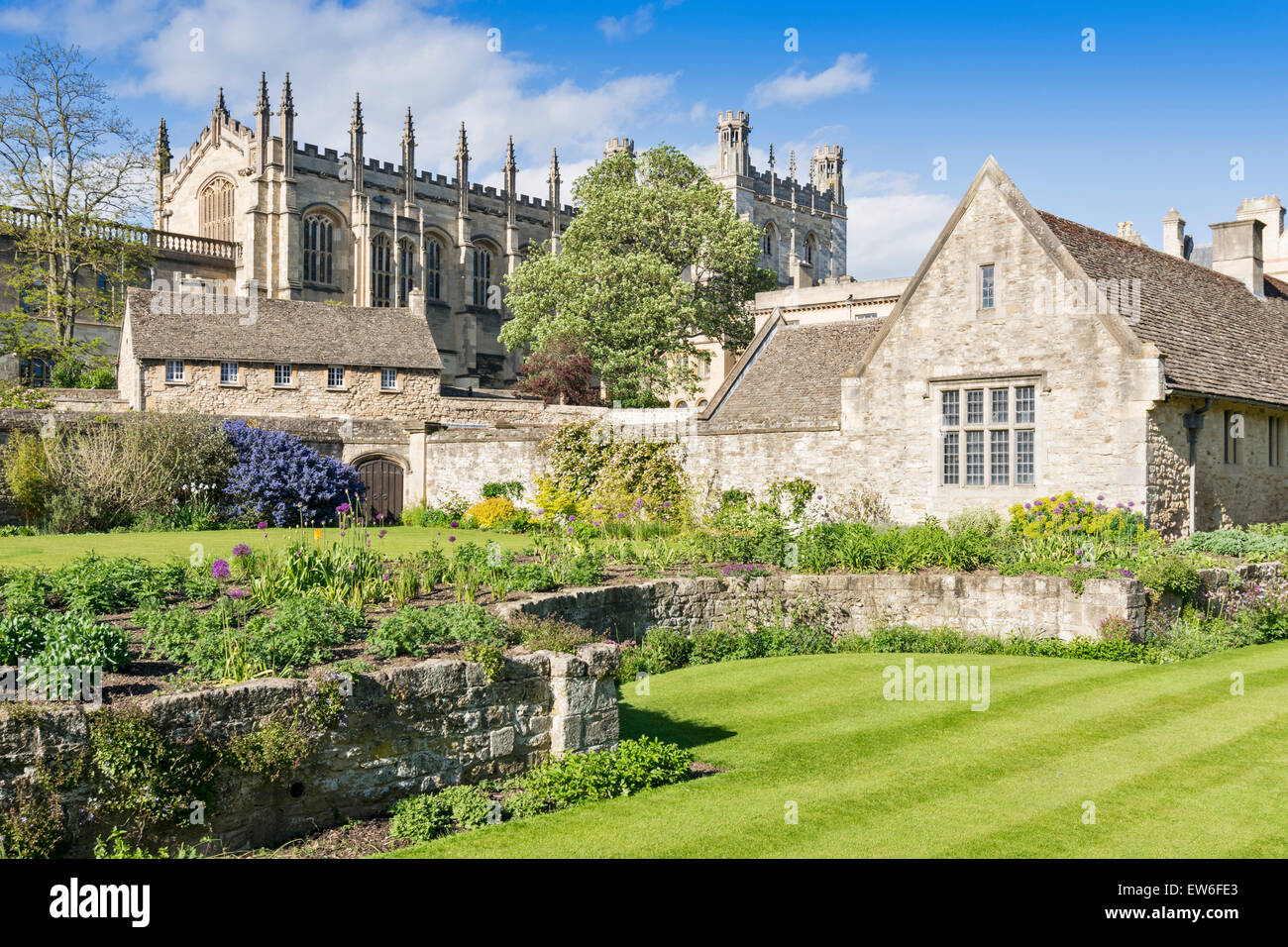 OXFORD CITY Cristo giardini di una chiesa dominata dalla cattedrale Foto Stock