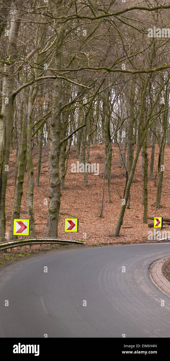 Una strada girare con flouresecent frecce e segni in una foresta di autunno nei Paesi Bassi. Foto Stock