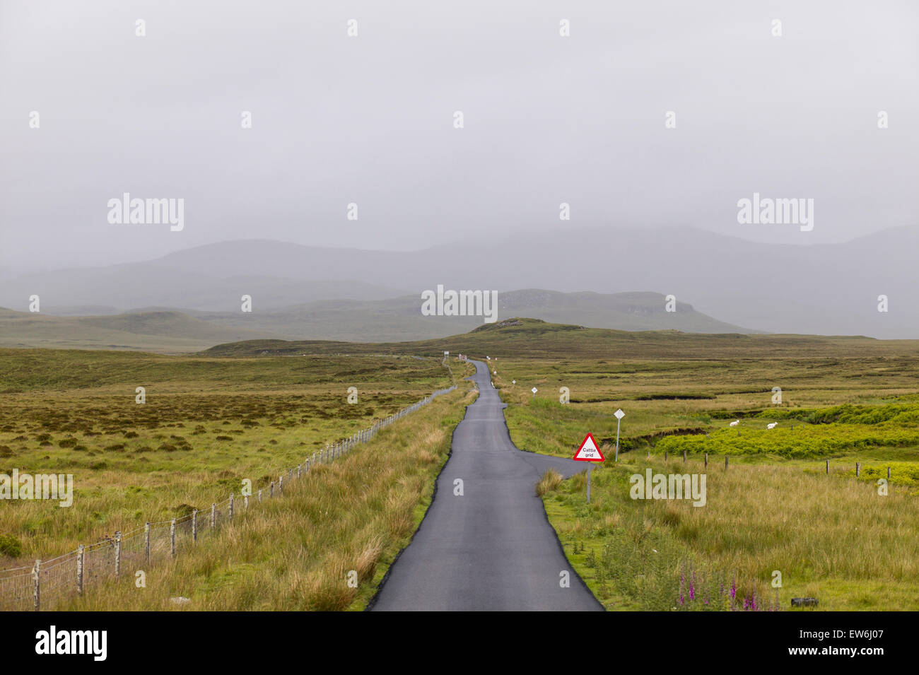 Una strada bagnata conduce nella nebbia sull'Isola di Skye in Scozia. Foto Stock
