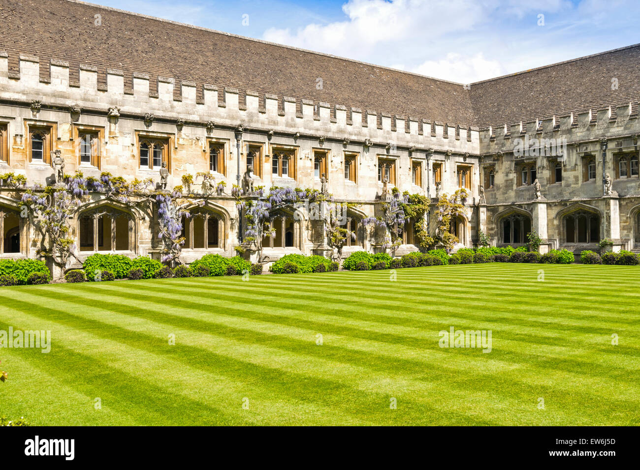 La città di Oxford Magdalen College con il glicine in fiore al di fuori dei chiostri Foto Stock