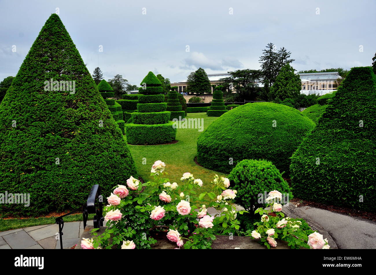 Kennett Square, Pennsylvania: agganciati in modo univoco (taxus yew) alberi in Topiaria da giardino a Longwood Gardens * Foto Stock