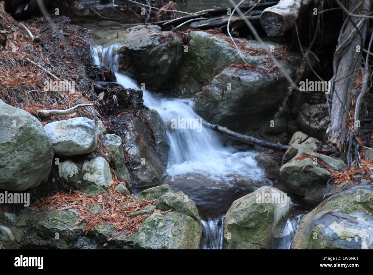 L'acqua cade nella foresta Foto Stock