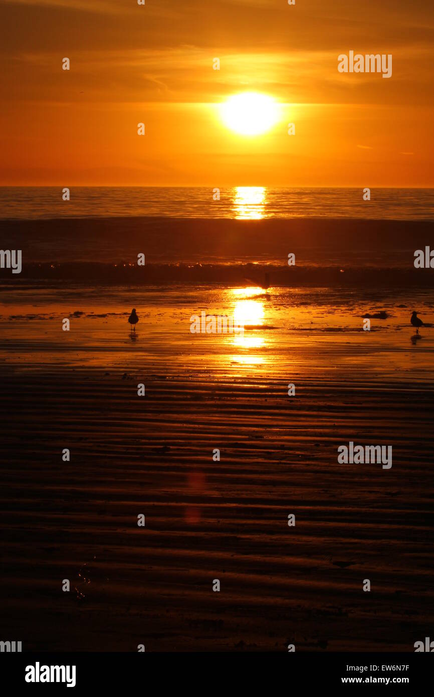 tramonto alla spiaggia Foto Stock