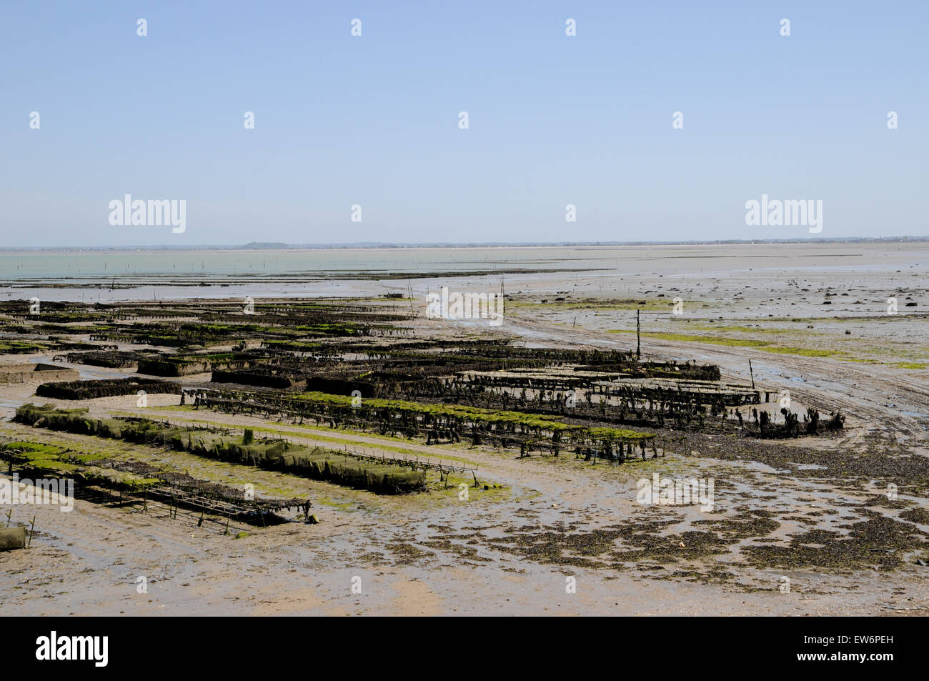 La bassa marea vista del vecchio di ostriche a Cancale. Foto Stock