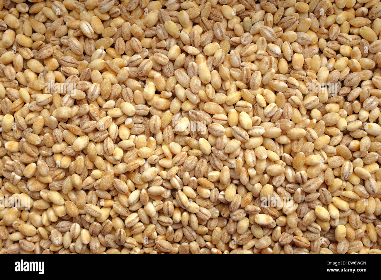 Orzo perlato come astratta texture di sfondo Foto Stock