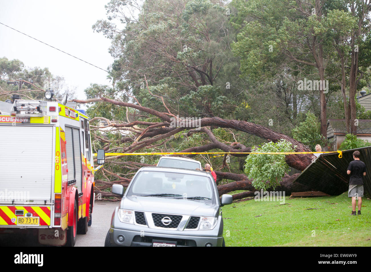 In Avalon su Sydney's idilliache spiagge del Nord la caduta di alberi e pali del telegrafo bloccano strade e causare danni significativi alla home Foto Stock