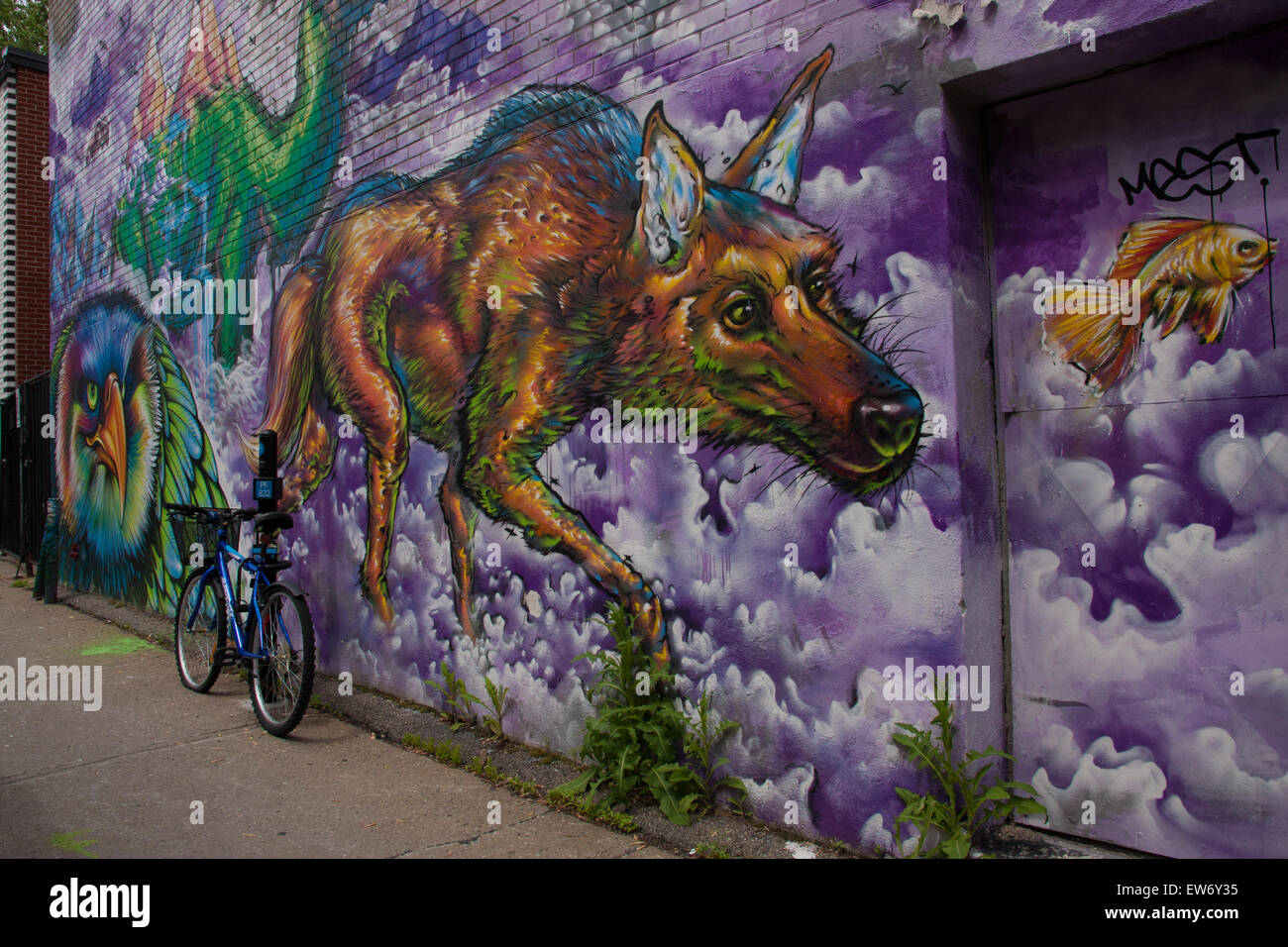 gufo che guarda il lupo che cammina dolcemente seguendo un pesce su un dipinto di un muro. Un'immagine di edificio con graffiti colorati. Effetto grunge Foto Stock