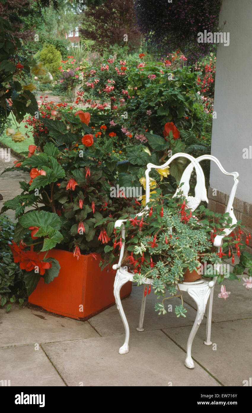Fuchsia in pentola rossa accanto al bianco di ferro battuto sedia con un rosso fucsia in un contenitore arancione Foto Stock