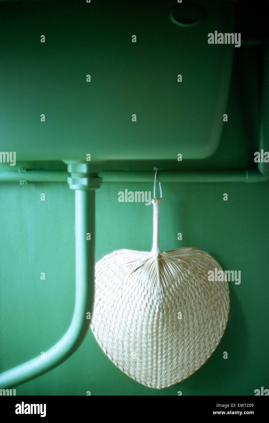 Close-up di un bianco degli anni sessanta di foglie di palma ventilatore su un muro verde Foto Stock