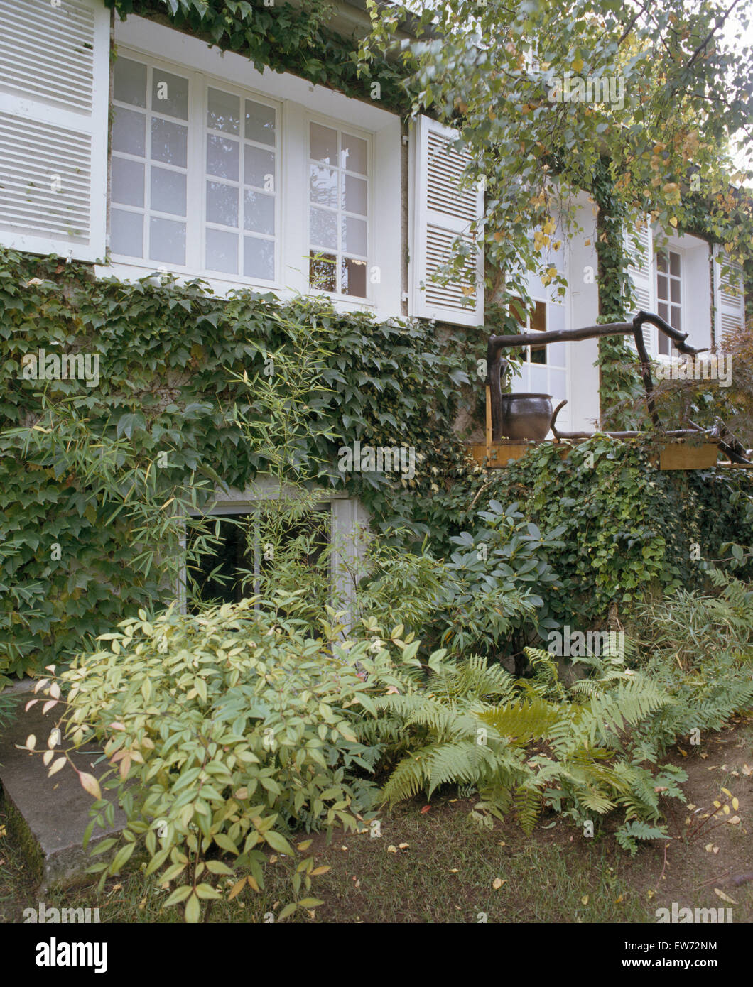 Esterno della casa cittadina francese con persiane bianche e verdi piante rampicanti Foto Stock