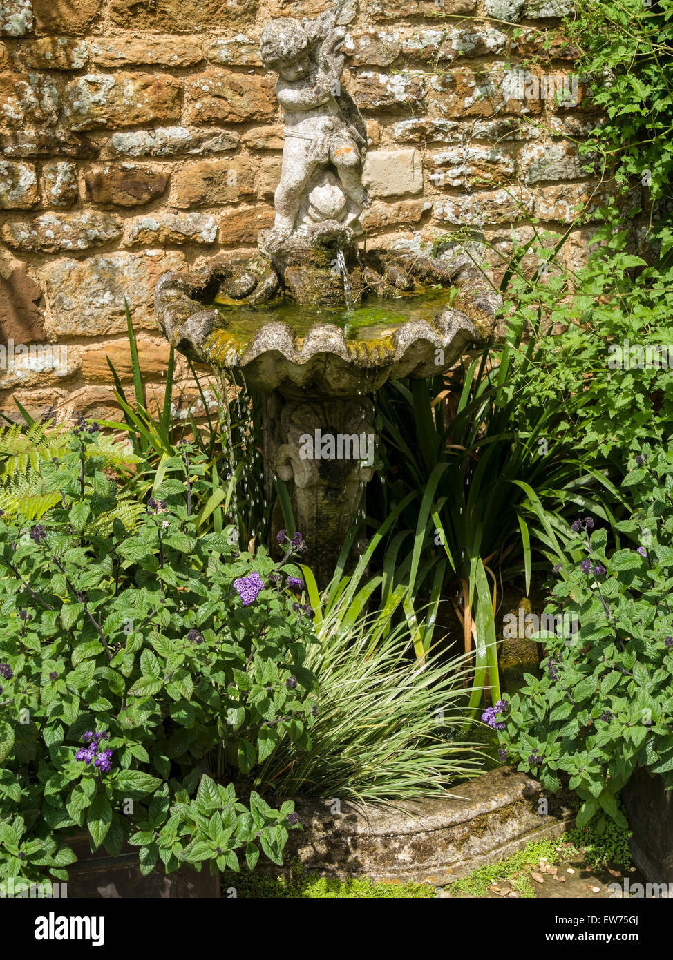 Acqua di pietra caratteristica, bird bagno, cherubino, fontana, Coton Manor Gardens, Coton, Northamptonshire, Inghilterra, Regno Unito. Foto Stock