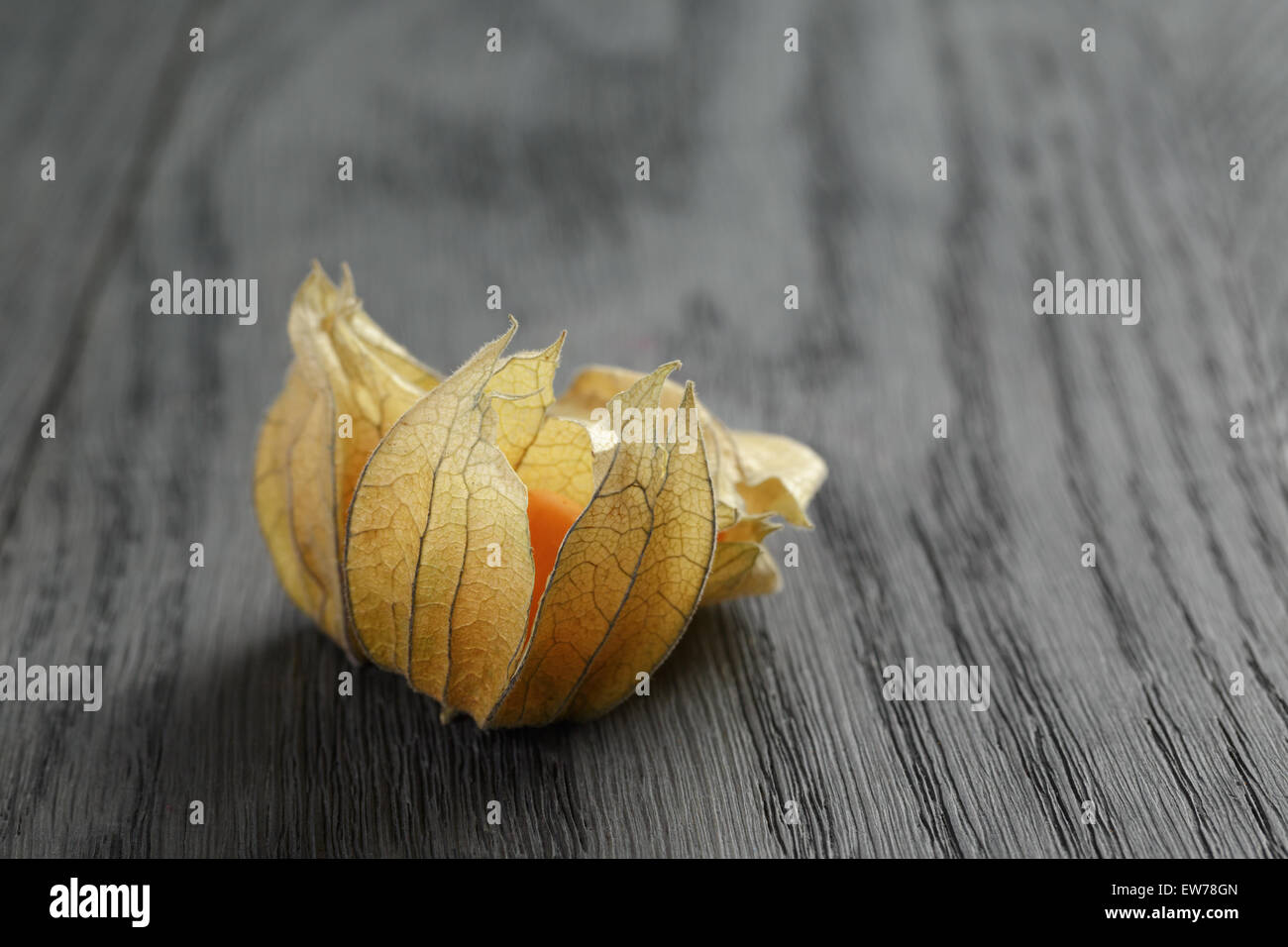 Physalis frutto su oak tavolo in legno Foto Stock
