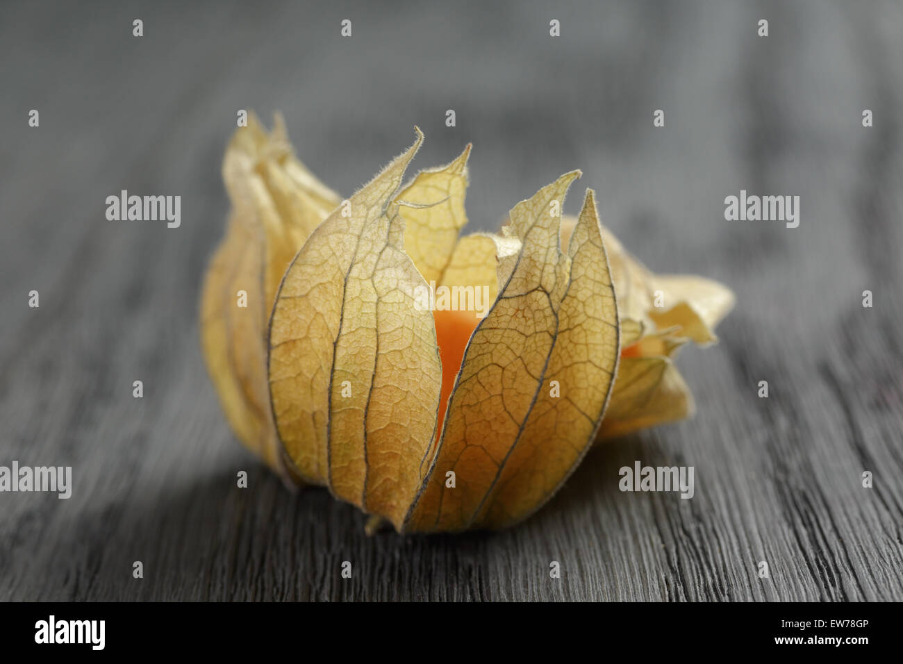 Physalis frutto su oak tavolo in legno Foto Stock